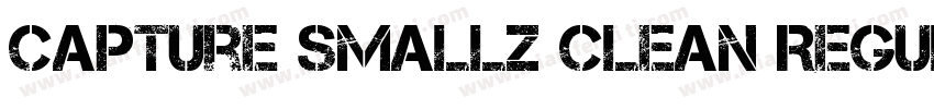 Capture Smallz Clean Regular字体转换